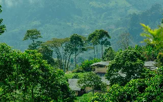 imagenes aliados (1) ecoland-categoria