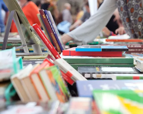 aliados al-pie-de-la-letra-1