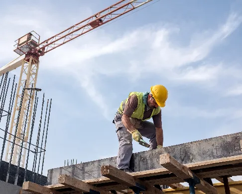 imagenes aliados giro-hse-1