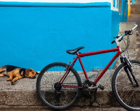 imagenes aliados (1) los-arrayanes-2