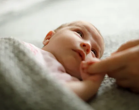 imagenes aliados toral-2