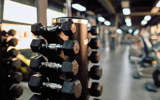 Aliado il-corpo-categoria