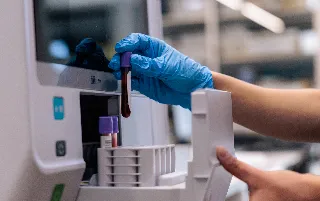 bio-referencia-categoria