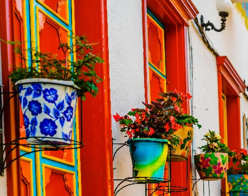 imagenes aliados (1) avalon-2